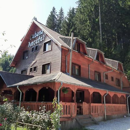Cabana Ancutei Rucar  Exterior photo