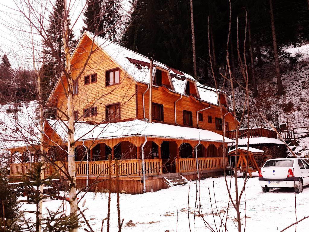 Cabana Ancutei Rucar  Exterior photo